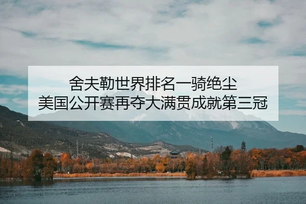 舍夫勒世界排名一骑绝尘 美国公开赛再夺大满贯成就第三冠