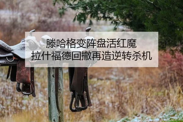 teng-ha-ge-bian-zhen-pan-huo-hong-mo-la-shen-fu-de-hui-che-zai-zao-ni-zhuan-sha-ji-1-702.jpg